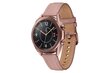 Viedais pulkstenis Samsung Galaxy Watch 3 LTE (41 mm) cena un informācija | Viedpulksteņi (smartwatch) | 220.lv