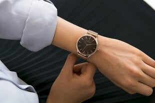 Rokas pulkstenis FREDERIC GRAFF FAZ-3218 cena un informācija | Sieviešu pulksteņi | 220.lv