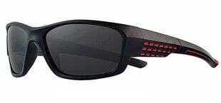 Солнцезащитные очки Label PC025 Polarized цена и информация | Солнцезащитные очки для мужчин | 220.lv