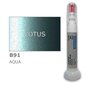 Krāsu korektors skrāpējumu korekcijai LOTUS B91 - AQUA 12 ml цена и информация | Auto krāsas | 220.lv