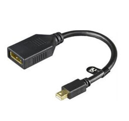 Deltaco MDP-DP1, Mini DisplayPort, DisplayPort, 0.2m cena un informācija | Kabeļi un vadi | 220.lv