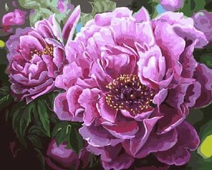 Gleznošanas komplekts - Uzplaucis zieds, 40x50 cena un informācija | Gleznas pēc numuriem | 220.lv