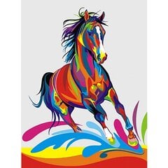 Gleznošanas komplekts - Krāsains Zirgs, 30x40 cena un informācija | Gleznas pēc numuriem | 220.lv