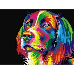Набор для рисования по номерам «Радужный пес» 30x40 цена и информация | Живопись по номерам | 220.lv