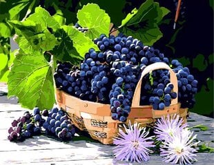 Набор для рисования по номерам «Грозди винограда» 40x50 цена и информация | Живопись по номерам | 220.lv