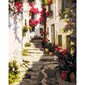 Gleznošanas komplekts - Iela Grieķijā, 40x50 цена и информация | Gleznas pēc numuriem | 220.lv
