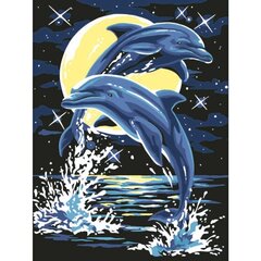 Gleznošanas komplekts - Nakts delfīni, 30x40 cena un informācija | Gleznas pēc numuriem | 220.lv