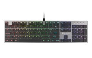 Игровая клавиатура Genesis Thor 420 RGB, серебро цена и информация | Клавиатуры | 220.lv