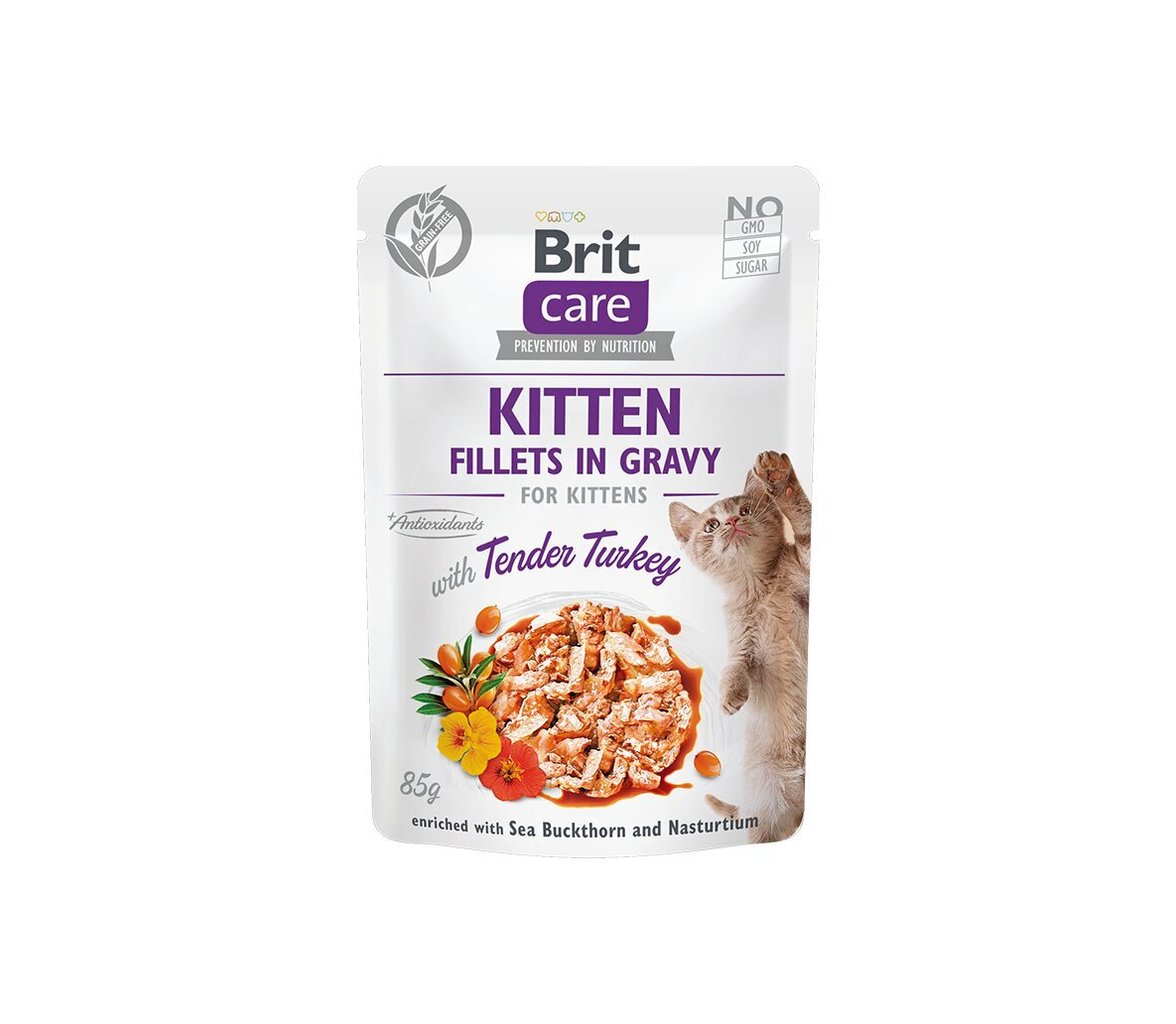 Brit Care Turkey Fillets 85g Kaķēniem цена и информация | Konservi kaķiem | 220.lv