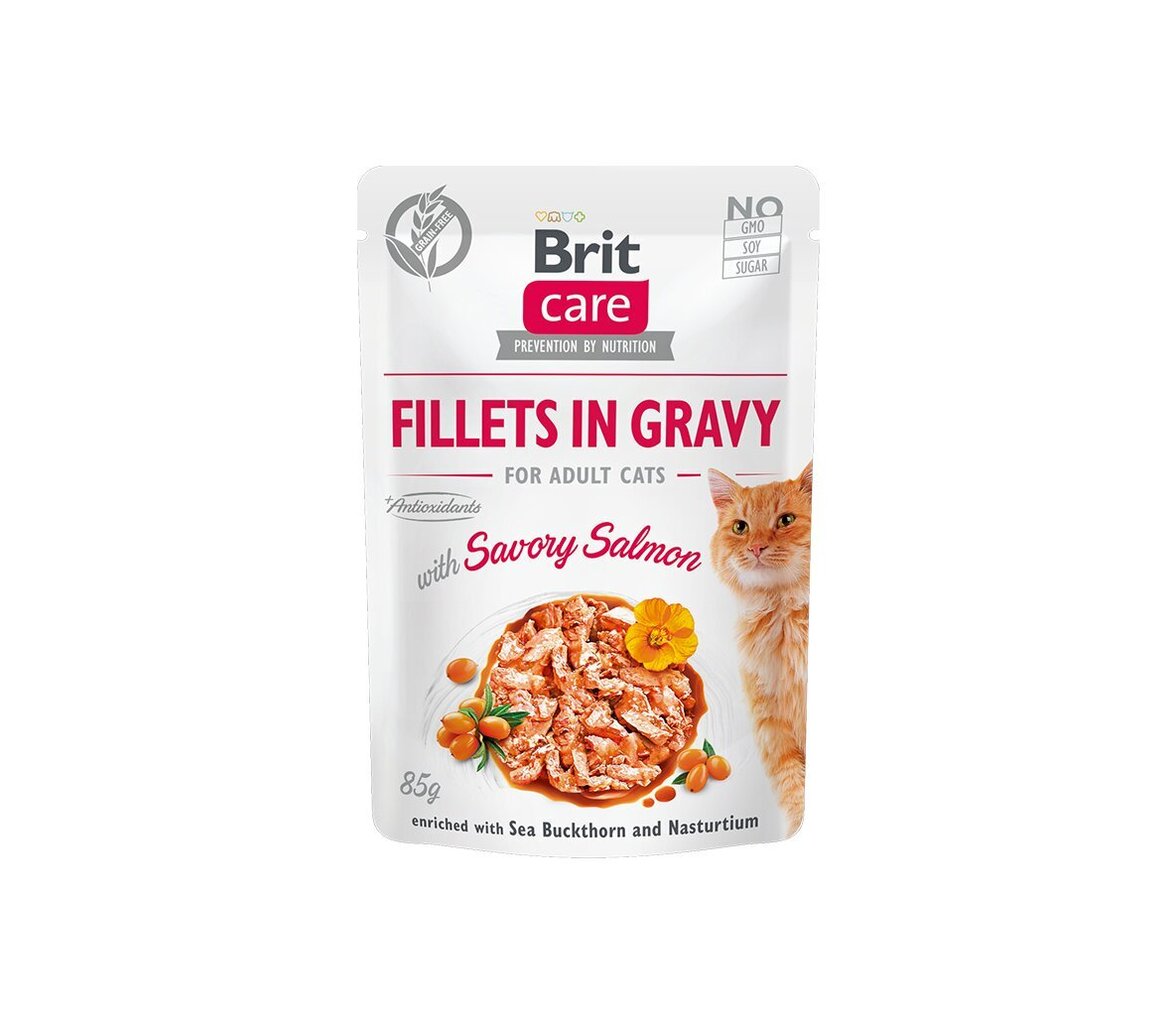 Brit Care Fillets In Gravy Salmon 85g Kaķiem cena un informācija | Konservi kaķiem | 220.lv