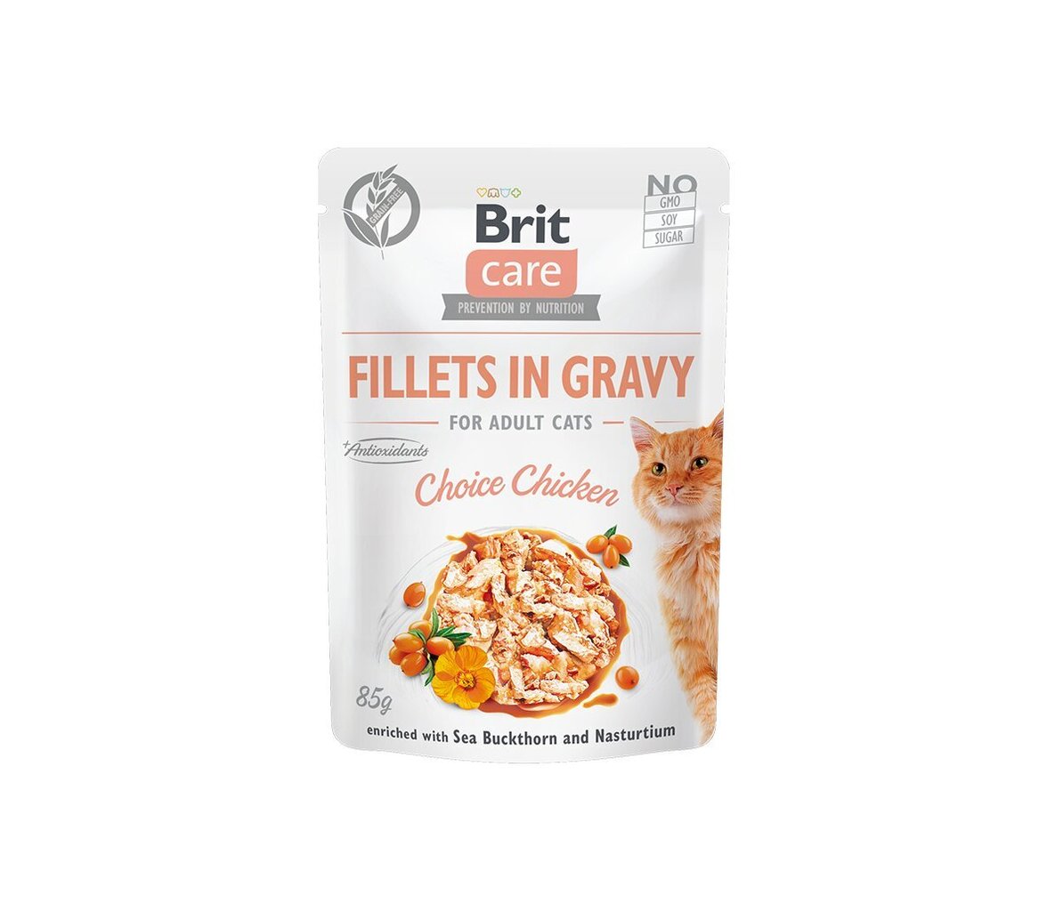 Brit Care Chicken Fillets 85g Kaķiem цена и информация | Konservi kaķiem | 220.lv