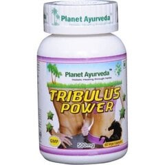 Uztura bagātinātājs Tribulus Power, Planeta Ayurveda™ veģetāras kapsulas, 60 gab. cena un informācija | Testosterona veicinātāji | 220.lv