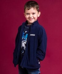 Флисовая кофта HUPPA цена и информация | Куртки для мальчиков | 220.lv