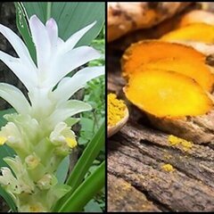 Uztura bagātinātājs Planet Ayurveda „Boswelia Curcumin“, 60 kapsulas cena un informācija | Uztura bagātinātāji, preparāti locītavām | 220.lv