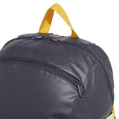 Рюкзак Adidas Ya Backpack Blue цена и информация | Спортивные сумки и рюкзаки | 220.lv