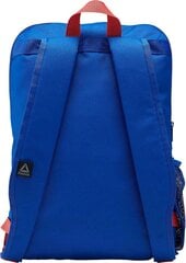 Рюкзак Reebok Kids Core 22L Gr Cobalt Blue цена и информация | Школьные рюкзаки, спортивные сумки | 220.lv