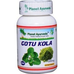 Uztura bagātinātājs Gotu Kola atmiņai, varikozām vēnām, depresijai, 60 kapsulas cena un informācija | Vitamīni, preparāti, uztura bagātinātāji labsajūtai | 220.lv