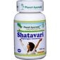 Uztura bagātinātājs Planet Ayurveda „Shatavari (Šatavari)", 60 kapsulas цена и информация | Vitamīni, preparāti, uztura bagātinātāji labsajūtai | 220.lv