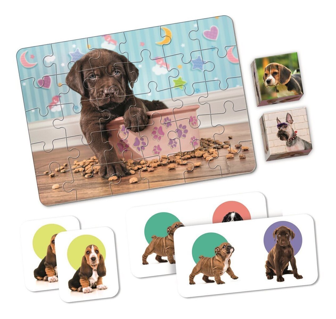 Izglītojošu spēļu komplekts Clementoni Edukit 4in1 - Puppies, 18071 цена и информация | Galda spēles | 220.lv