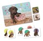 Izglītojošu spēļu komplekts Clementoni Edukit 4in1 - Puppies, 18071 cena un informācija | Galda spēles | 220.lv