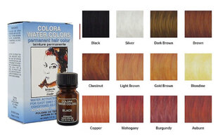 Colora Water Colors Silver, matu krāsa – bez ūdeņraža pārskābes un amonjaka cena un informācija | Matu krāsas | 220.lv