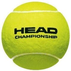 Tenisa bumbiņas Head Championship 3 gab. cena un informācija | Āra tenisa preces | 220.lv