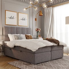 Кровать Selsey Erlar 160x200 см, серая цена и информация | Кровати | 220.lv