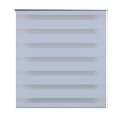Rullo žalūzijas Zebra, 40 x 100 cm, baltas цена и информация | Рулонные шторы | 220.lv