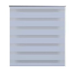 Rullo žalūzijas Zebra, 100 x 175 cm, baltas цена и информация | Рулонные шторы | 220.lv