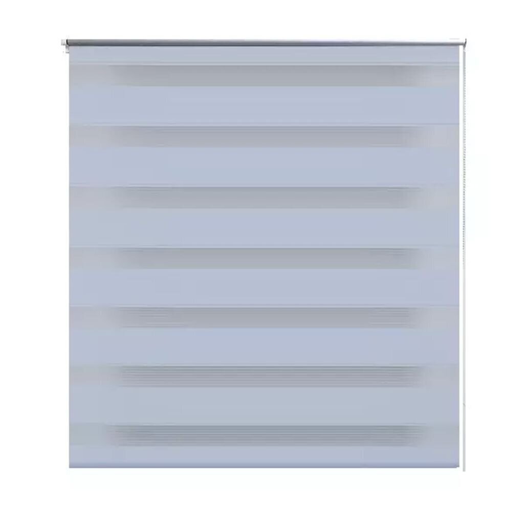 Rullo žalūzijas Zebra, 100 x 175 cm, baltas cena un informācija | Rullo žalūzijas | 220.lv