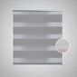 Rullo žalūzijas Zebra, 100 x 175 cm, pelēkas cena un informācija | Rullo žalūzijas | 220.lv
