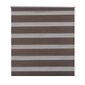 Rullo žalūzijas Zebra, 120 x 230 cm, kafijas krāsas cena un informācija | Rullo žalūzijas | 220.lv