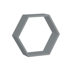 Sienas plaukts Spaceo Hexagon, pelēks/sudrabainas krāsas cena un informācija | Plaukti | 220.lv