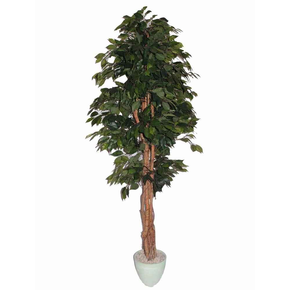 Mākslīgais augs Ficus 2 180cm цена и информация | Mākslīgie ziedi | 220.lv