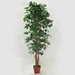 Mākslīgais augs Ficus 2 180cm цена и информация | Mākslīgie ziedi | 220.lv