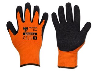 Перчатки защитные WINTER FOX латекс Bradas (размер 9) цена и информация | Рабочие перчатки | 220.lv