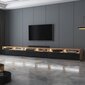 TV galdiņš Selsey Rednaw 300 LED, brūns/melns цена и информация | TV galdiņi | 220.lv