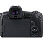 Canon EOS R + RF 24-105mm F4-7.1 IS STM + Mount Adapter EF-EOS R cena un informācija | Digitālās fotokameras | 220.lv