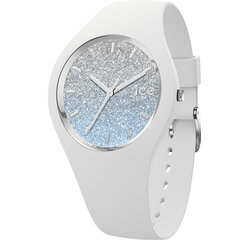 Pulkstenis Ice Watch 013429 цена и информация | Женские часы | 220.lv