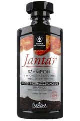 Шампунь для жирных волос Farmona Jantar, 330 мл цена и информация | Шампуни | 220.lv