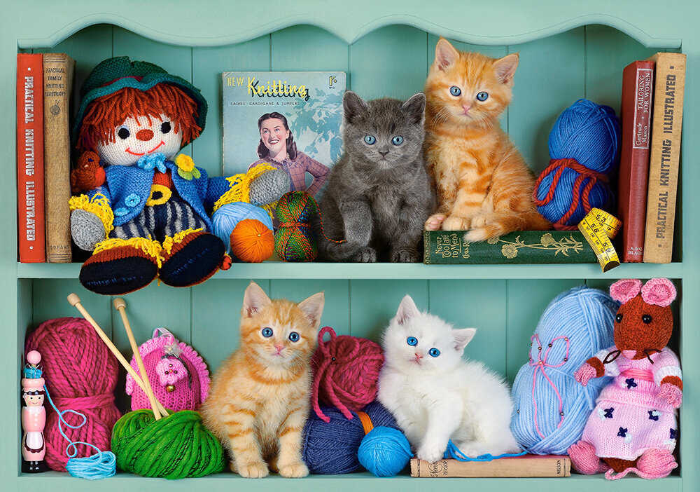 Puzle Castorland Kitten Shelves, 500 d. cena un informācija | Puzles, 3D puzles | 220.lv
