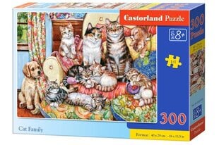 Puzle Castorland Četri kaķēni, 300 d. cena un informācija | Puzles, 3D puzles | 220.lv