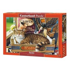 Пазл Castorland Кот 500 дет. цена и информация | Пазлы | 220.lv