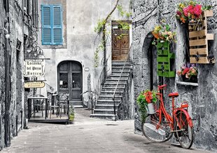 Puzle Puzzle Castorland Charming Alley with Red Bicycle, 500 det. cena un informācija | Puzles, 3D puzles | 220.lv