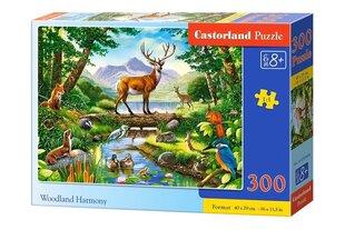 Puzle Castorland Woodland Harmony, 300 det. cena un informācija | Puzles, 3D puzles | 220.lv