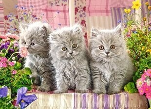 Пазл Castorland Three Grey Kittens, 300 дет. цена и информация | Пазлы | 220.lv