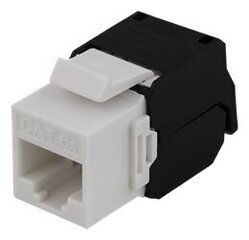 Deltaco MD-109, RJ45 UTP (CAT 6A) cena un informācija | Kabeļi un vadi | 220.lv