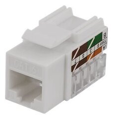 Deltaco MD-111, RJ45 UTP (CAT 6) цена и информация | Кабели и провода | 220.lv