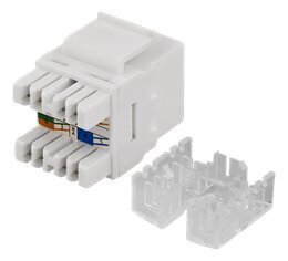 Deltaco MD-110, RJ45 UTP (CAT 6) cena un informācija | Kabeļi un vadi | 220.lv