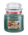 Aromātiska svece Yankee Candle Alfresco Afternoon 411 g